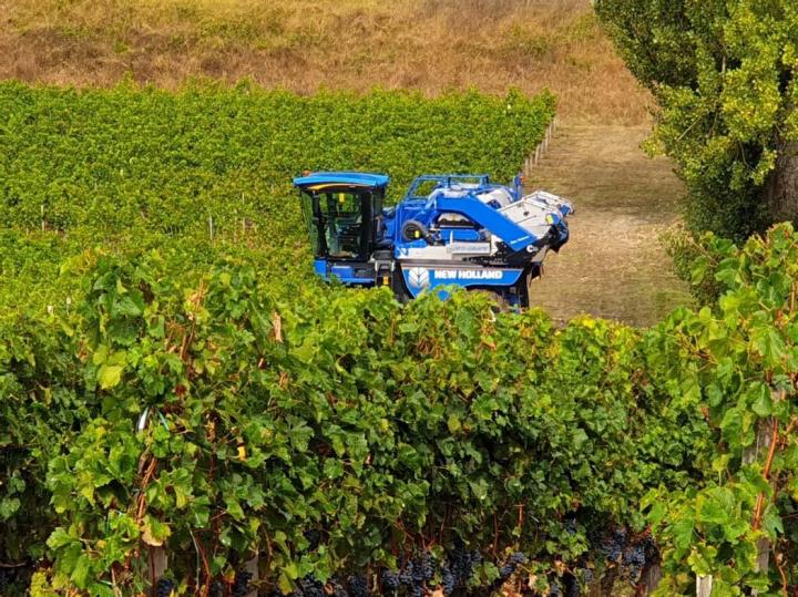Exploitants de vignobles à Libourne