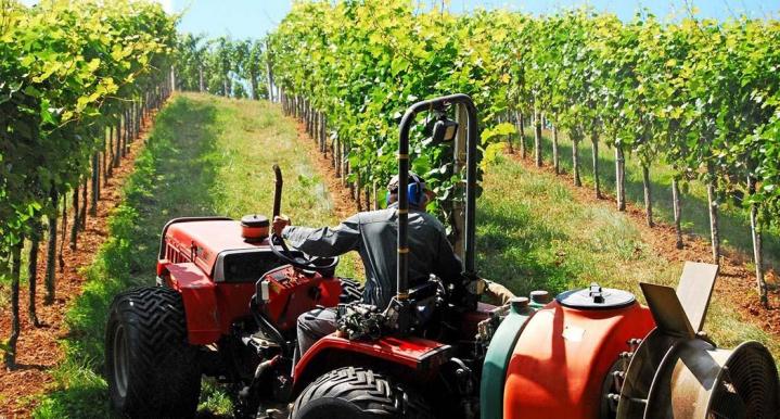 Producteurs de vin à Libourne