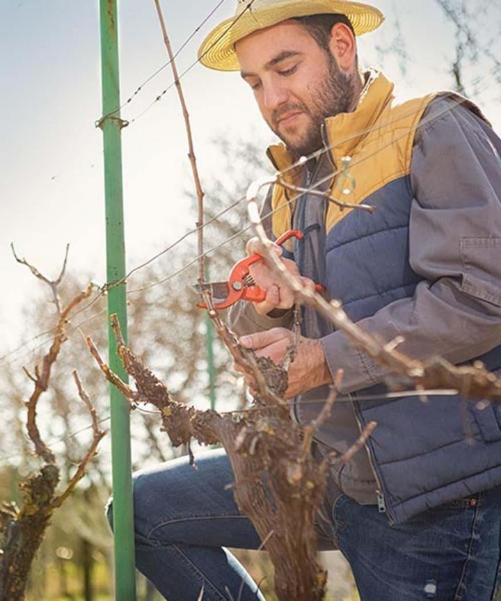 Vignerons à Libourne
