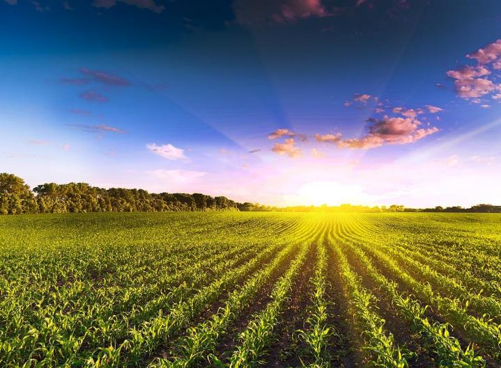 Exploitants agricoles à Libourne